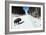 Clients Watch Bison In The Hayden Valley Of Yellowstone National Park In Winter-Jay Goodrich-Framed Photographic Print