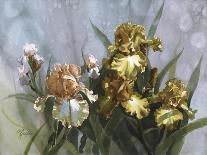 Hadfield Irises III-Clif Hadfield-Art Print