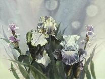 Hadfield Irises V-Clif Hadfield-Art Print