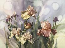 Hadfield Irises V-Clif Hadfield-Art Print