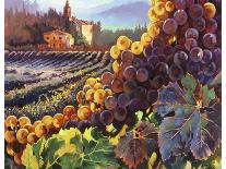 Tuscany Harvest-Clif Hadfield-Framed Art Print