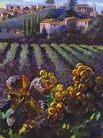 Tuscany Harvest-Clif Hadfield-Art Print