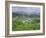 Clifden, Connemara, County Galway, Connacht, Republic of Ireland (Eire), Europe-Roy Rainford-Framed Photographic Print