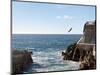 Cliff Diver Diving From El Mirador at Paseo Claussen, Mazatlan, Mexico-Charles Sleicher-Mounted Photographic Print