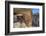 Cliff Dwellings Constructed over 700 Years Ago-Richard-Framed Photographic Print