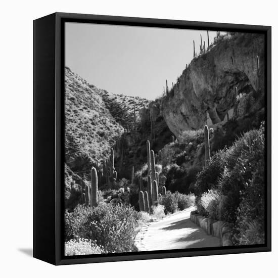 Cliff Dwellings of Tonto National Monument, Arizona,USA-Anna Miller-Framed Premier Image Canvas