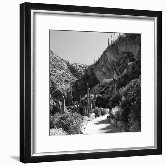 Cliff Dwellings of Tonto National Monument, Arizona,USA-Anna Miller-Framed Photographic Print