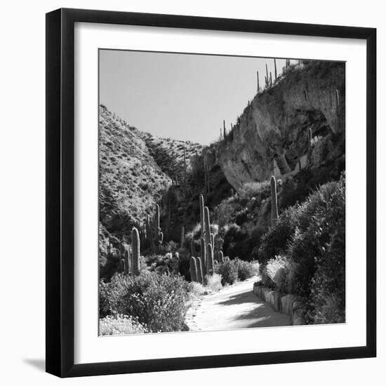 Cliff Dwellings of Tonto National Monument, Arizona,USA-Anna Miller-Framed Photographic Print