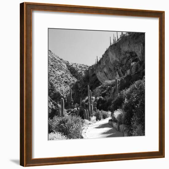 Cliff Dwellings of Tonto National Monument, Arizona,USA-Anna Miller-Framed Photographic Print