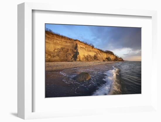 Cliff 'Hohes Ufer' Close Ahrenshoop in the Evening Light-Uwe Steffens-Framed Photographic Print