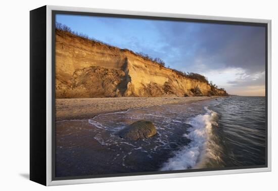 Cliff 'Hohes Ufer' Close Ahrenshoop in the Evening Light-Uwe Steffens-Framed Premier Image Canvas