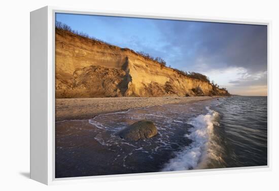 Cliff 'Hohes Ufer' Close Ahrenshoop in the Evening Light-Uwe Steffens-Framed Premier Image Canvas