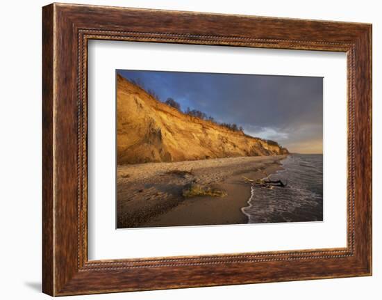 Cliff 'Hohes Ufer' Close Ahrenshoop in the Evening Light-Uwe Steffens-Framed Photographic Print