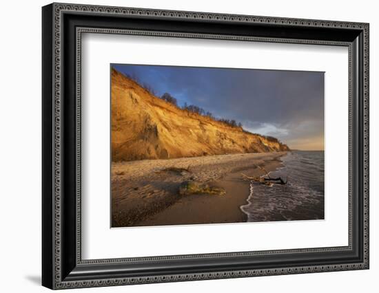 Cliff 'Hohes Ufer' Close Ahrenshoop in the Evening Light-Uwe Steffens-Framed Photographic Print