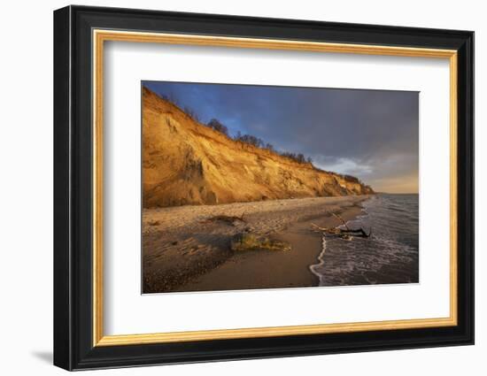 Cliff 'Hohes Ufer' Close Ahrenshoop in the Evening Light-Uwe Steffens-Framed Photographic Print