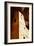 Cliff Palace Detail I-Douglas Taylor-Framed Photographic Print