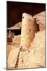 Cliff Palace Detail II-Douglas Taylor-Mounted Photographic Print