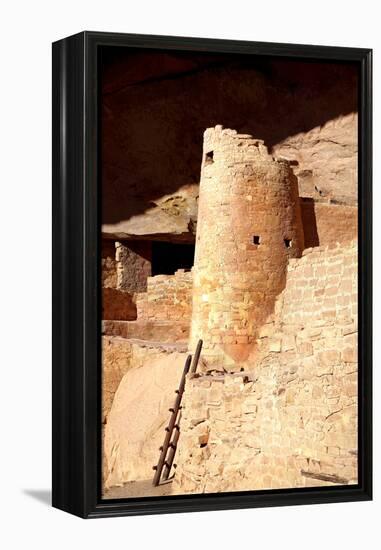 Cliff Palace Detail II-Douglas Taylor-Framed Premier Image Canvas