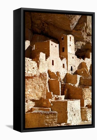 Cliff Palace Detail IV-Douglas Taylor-Framed Premier Image Canvas