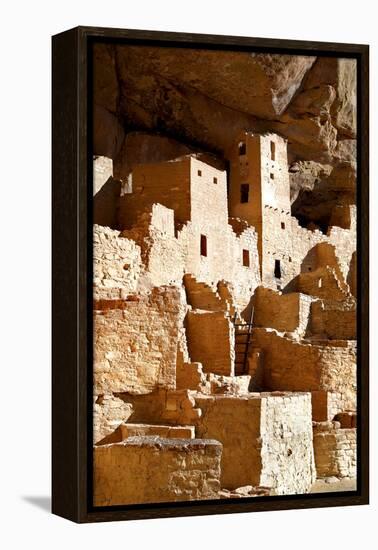 Cliff Palace Detail IV-Douglas Taylor-Framed Premier Image Canvas