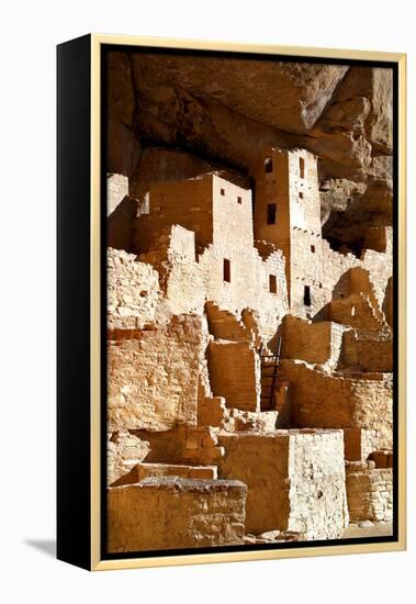 Cliff Palace Detail IV-Douglas Taylor-Framed Premier Image Canvas