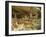 Cliff Palace, Mesa Verde National Park, Unesco World Heritage Site, Colorado, USA-Ethel Davies-Framed Photographic Print