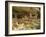 Cliff Palace, Mesa Verde National Park, Unesco World Heritage Site, Colorado, USA-Ethel Davies-Framed Photographic Print