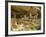 Cliff Palace, Mesa Verde National Park, Unesco World Heritage Site, Colorado, USA-Ethel Davies-Framed Photographic Print