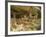 Cliff Palace, Mesa Verde National Park, Unesco World Heritage Site, Colorado, USA-Ethel Davies-Framed Photographic Print