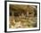 Cliff Palace, Mesa Verde National Park, Unesco World Heritage Site, Colorado, USA-Ethel Davies-Framed Photographic Print