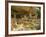 Cliff Palace, Mesa Verde National Park, Unesco World Heritage Site, Colorado, USA-Ethel Davies-Framed Photographic Print