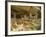 Cliff Palace, Mesa Verde National Park, Unesco World Heritage Site, Colorado, USA-Ethel Davies-Framed Photographic Print