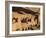 Cliff Palace Ruin in Mesa Verde National Park, Colorado-Greg Probst-Framed Photographic Print