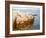 Cliff Rock Appledore (Isles of Shoals, Maine)-Childe Hassam-Framed Giclee Print