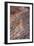 Cliff Spine Showing Red Rocks And Stratification Of Rock And Heavy Errosion In Southern Utah-Shea Evans-Framed Photographic Print
