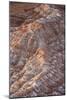 Cliff Spine Showing Red Rocks And Stratification Of Rock And Heavy Errosion In Southern Utah-Shea Evans-Mounted Photographic Print