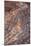 Cliff Spine Showing Red Rocks And Stratification Of Rock And Heavy Errosion In Southern Utah-Shea Evans-Mounted Photographic Print