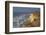 Cliffed Dunes near the Baltic Sea-Uwe Steffens-Framed Photographic Print