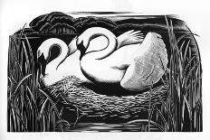 Two Swans-Clifford Webb-Art Print