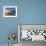 Cliffs at Cupecoy Beach, St. Martin, Caribbean-Greg Johnston-Framed Photographic Print displayed on a wall