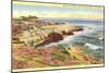 Cliffs at La Jolla, San Diego, California-null-Mounted Art Print