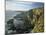 Cliffs at Mizen Head, County Cork, Munster, Republic of Ireland,Europe-David Hughes-Mounted Photographic Print