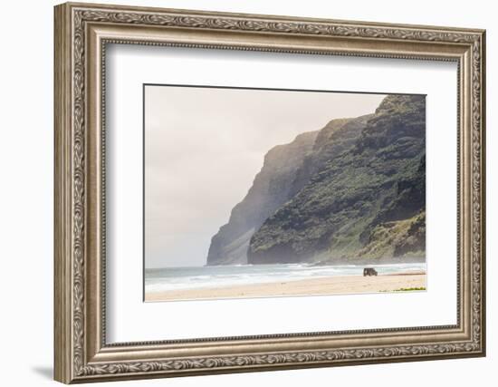 Cliffs at Polihale Beach Polihale State Park, Kauai, Hawaii-Michael DeFreitas-Framed Photographic Print