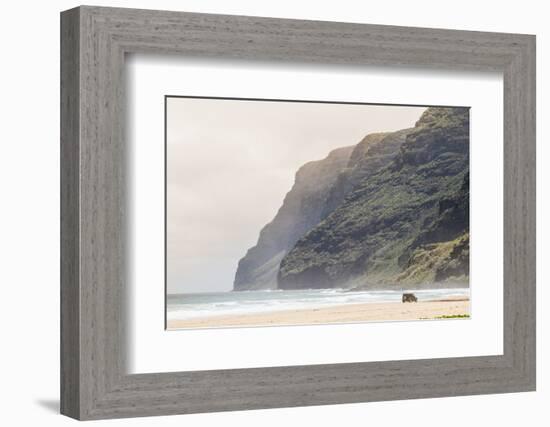 Cliffs at Polihale Beach Polihale State Park, Kauai, Hawaii-Michael DeFreitas-Framed Photographic Print