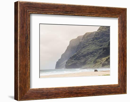 Cliffs at Polihale Beach Polihale State Park, Kauai, Hawaii-Michael DeFreitas-Framed Photographic Print