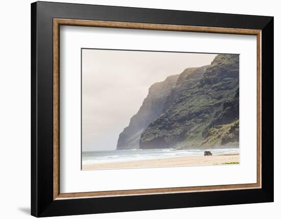 Cliffs at Polihale Beach Polihale State Park, Kauai, Hawaii-Michael DeFreitas-Framed Photographic Print