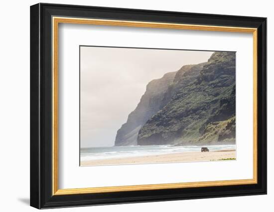 Cliffs at Polihale Beach Polihale State Park, Kauai, Hawaii-Michael DeFreitas-Framed Photographic Print