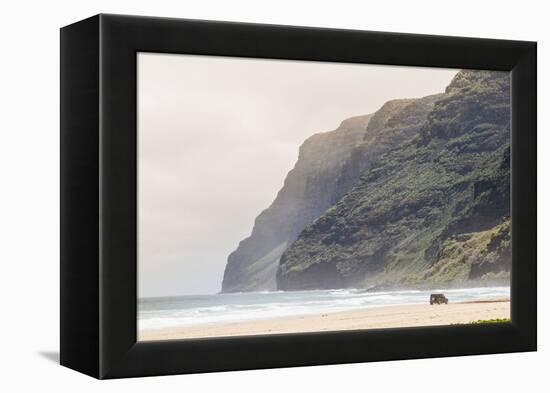 Cliffs at Polihale Beach Polihale State Park, Kauai, Hawaii-Michael DeFreitas-Framed Premier Image Canvas