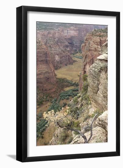 Cliffs in Chelly Canyon in Navajo National Reserve, Arizona-null-Framed Giclee Print