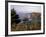 Cliffs, Maine, USA-Jerry & Marcy Monkman-Framed Photographic Print